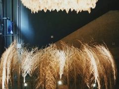-無用生活空间(北京店)
