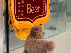 -瑞派天使宠物医院·神经外科·骨科·核磁CT(洛川中路店)