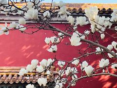 -北京市劳动人民文化宫(太庙)
