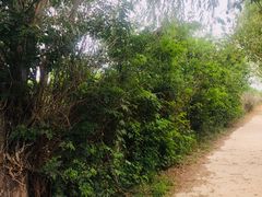 -三江森林温泉度假区