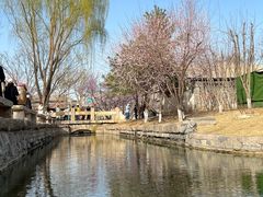 -三里河公园
