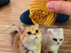 -上海哈尔滨食品厂(淮海中路店)