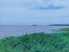-上海吴淞炮台湾国家湿地公园