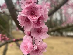 -滨湖塘西河公园