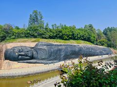 -三水森林公园