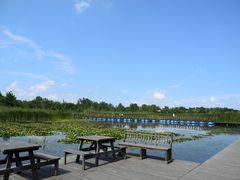 -溱湖国家湿地公园