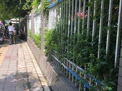 -陕西省小天鹅艺术团