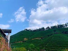 -心无尘茶餐馆(径山村店)