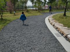 -溱湖国家湿地公园