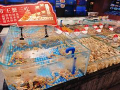 -连鹭海鲜·海肠捞饭·海胆饭(星海店)