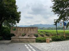-中国茶叶博物馆(双峰馆区)
