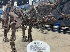 -吉林省自然博物馆
