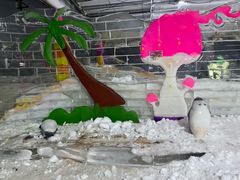 -宁波冰雪大世界(北仑区)