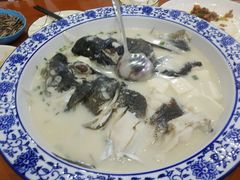 -全乐鱼馆·淳牌有机鱼直营店