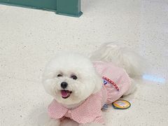 -帕帕拉兹宠物(亚洲旗舰店)