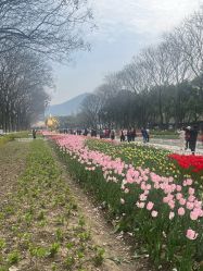 -玄武湖景区-情侣园游乐场