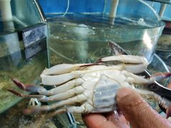 蒸汽海鲜-蓝珊甄选海鲜自助·火锅大排档(近阿那亚店)