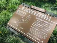 -杭州黄龙洞