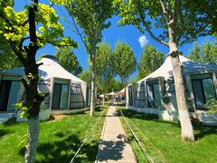 -九十九顶毡房(阜石路店)