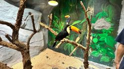 -Zoolung Zoolung动物主题公园(海信广场店)