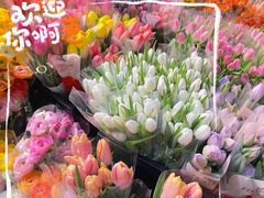 -循礼门鲜花花市(武汉循礼门店)