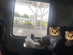 -泰州站