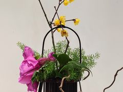 -上海辰山植物园