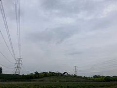 -紫颐香薰山谷景区