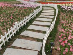 -廊坊文化艺术中心