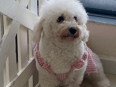 -怪兽屋·羊驼·猫咖·狗咖(俊华广场店)