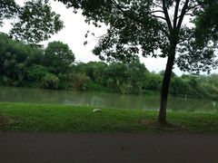 -艾溪湖湿地公园