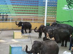 -大连森林动物园