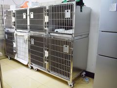 -顺强宠物诊所·狂犬免疫·夜诊·骨科(嘉定店)
