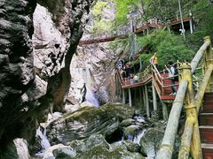 -牛背梁国家森林公园