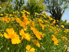 -汉长安城未央宫国家考古遗址公园