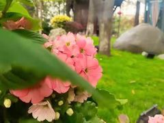 -大妙火锅·非物质文化遗产(东湖公园店)