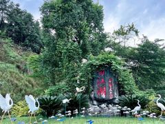 -广州白江湖森林公园