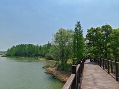 -贡湖湾湿地公园
