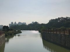 -广西壮族自治区药用植物园