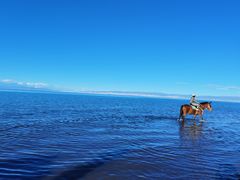 -青海湖国家重点风景名胜区