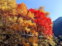 -叠溪松坪沟景区
