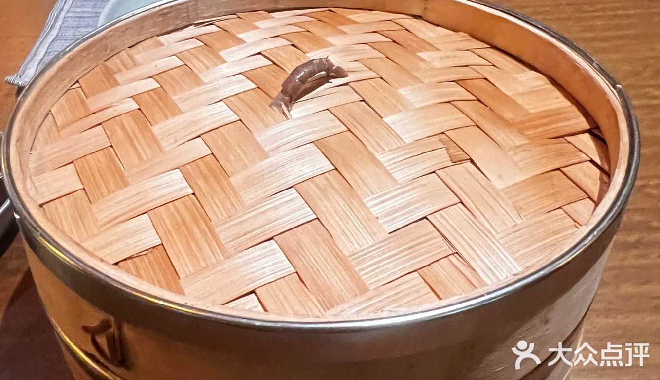 蟹壳还是有点惊艳的