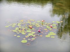 -鄱阳湖国家湿地公园