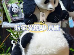 -轩客会(熊猫书店)