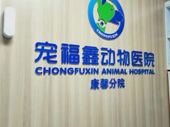 -宠福鑫康馨动物医院·骨科·眼科