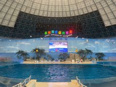 -泉城欧乐堡海洋极地世界