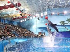 -多彩贵州城极地海洋世界