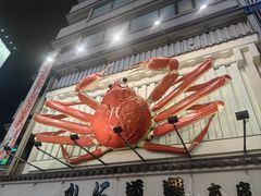 -蟹道乐(道顿堀本店)