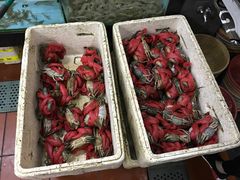 -莲花公园煎蟹(总店)