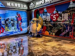 -Hopo Snow 城市滑雪空间(来福士广场购物中心店)